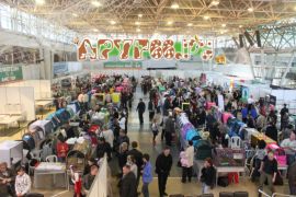 IMG_7170.jpg