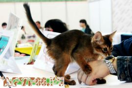 IMG_7015.jpg