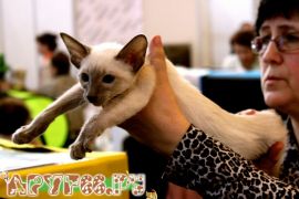 IMG_6914.jpg