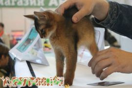 IMG_7024.jpg