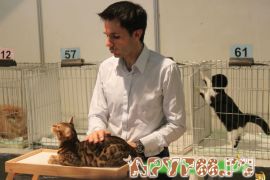 IMG_7042.jpg
