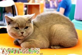 IMG_6930.jpg