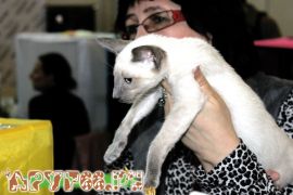 IMG_6911.jpg