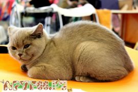 IMG_6926.jpg