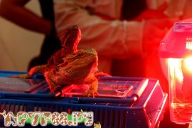 IMG_7166.jpg