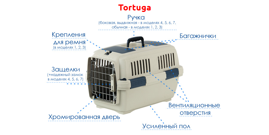 TORTUGA