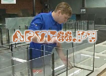 Выбор аквариума